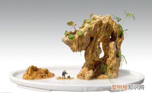 石头盆景制作方法喜欢的朋友看过来