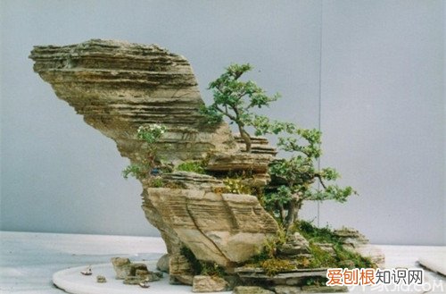 石头盆景制作方法喜欢的朋友看过来