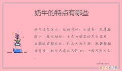 牛奶具有怎样的特点 奶牛的特点有哪些