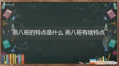燕八哥的特点是什么 燕八哥有啥特点