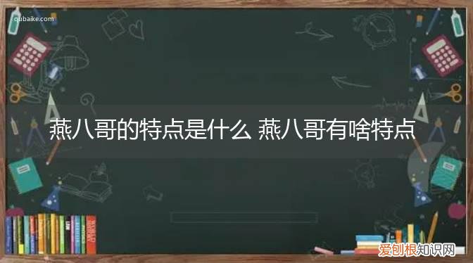 燕八哥的特点是什么 燕八哥有啥特点