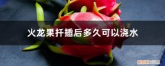 火龙果从扦插到开花结果要多久 火龙果扦插后多久可以浇水，扦插多久结果