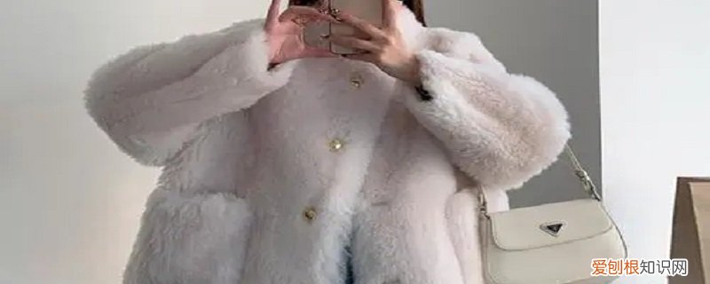 托卡毛是什么毛图片 托卡毛是什么毛