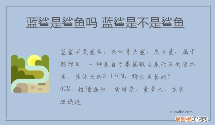 蓝鲨是鲨鱼吗 蓝鲨是不是鲨鱼