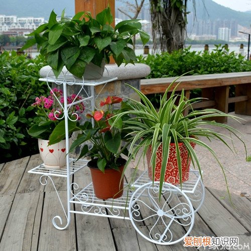 如何自制花盆架 花盆架制作工具及过程