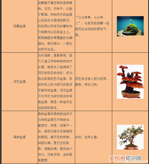 室内花卉盆景的养殖方法及注意事项，盆景养殖技术及方法