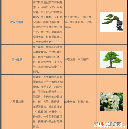 室内花卉盆景的养殖方法及注意事项，盆景养殖技术及方法