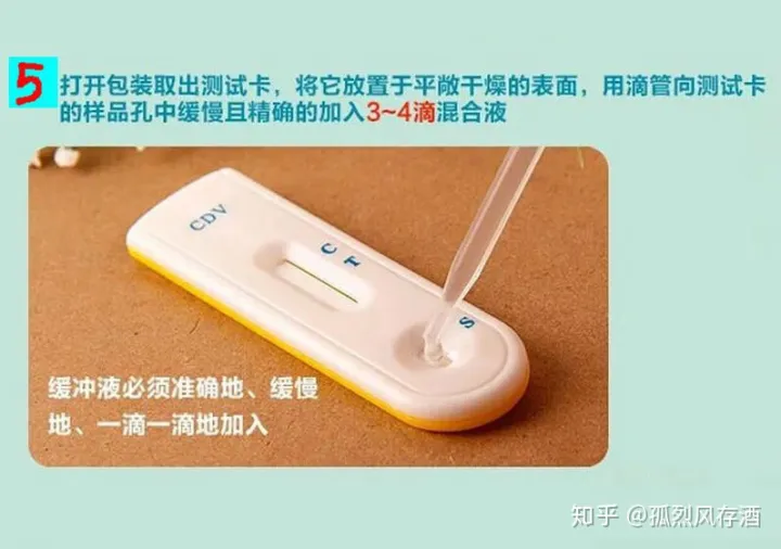 犬瘟热的诊断与防治毕业论文，爱宠小科普——犬瘟热的鉴别与预防