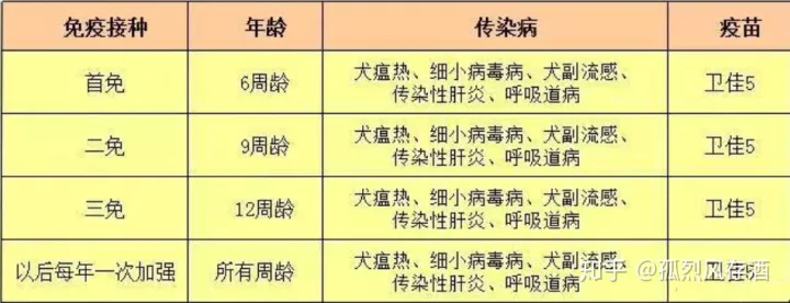 犬瘟热的诊断与防治毕业论文，爱宠小科普——犬瘟热的鉴别与预防