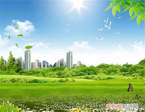 大气污染防治 保护生态环境