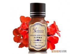 天竺葵精油的作用天竺葵精油的使用方法