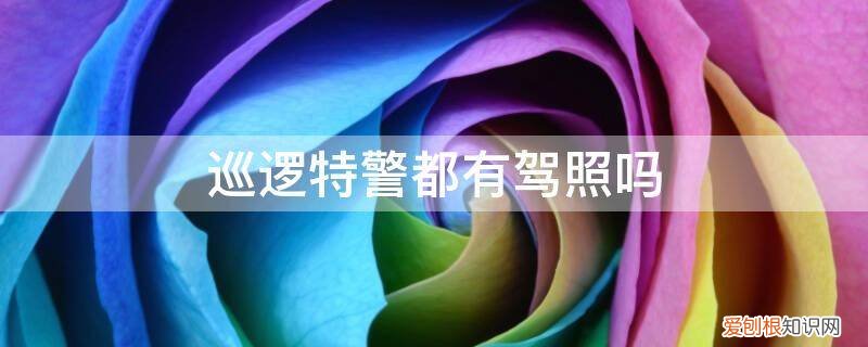 特警巡逻队需要什么学历 巡逻特警都有驾照吗
