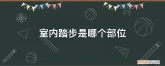 室内踏步是哪个部位图解 室内踏步是哪个部位