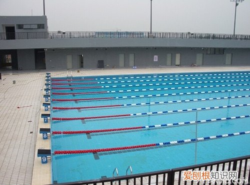 室内标准游泳池尺寸 宝宝几岁可以到公共泳池游泳