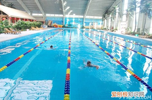 室内标准游泳池尺寸 宝宝几岁可以到公共泳池游泳