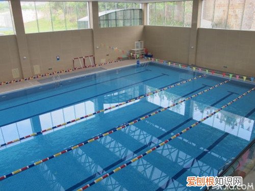 室内游泳池尺寸 警惕：泳池排水口“吸人”隐患有多大