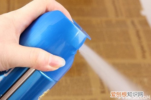 家中杀臭虫用什么药 家中无虫才放心