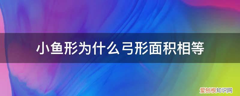 圆和弓形的比 小鱼形为什么弓形面积相等