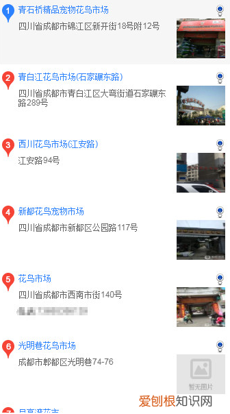 成都买哈士奇 成都买哈士奇的方法