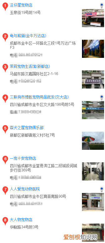 成都买哈士奇 成都买哈士奇的方法