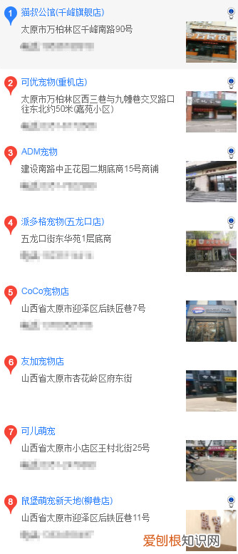 太原买哈士奇 太原买哈士奇的方法