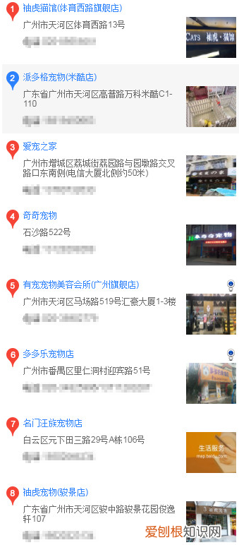 广州买哈士奇 广州买哈士奇的方法