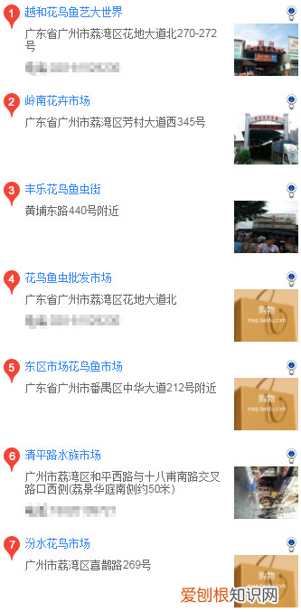 广州买哈士奇 广州买哈士奇的方法