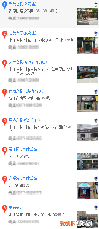 杭州买哈士奇 杭州买哈士奇的方法