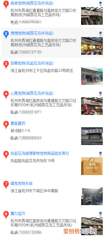 杭州买哈士奇 杭州买哈士奇的方法