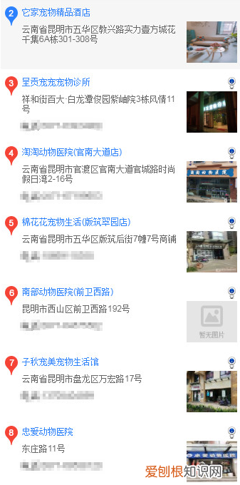 昆明怎么买博美 昆明买博美的方法