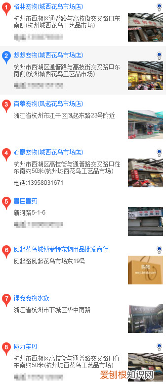 杭州怎么买博美 杭州买博美的方法