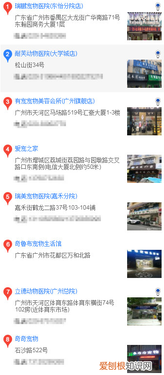 广州买博美 广州怎么买博美