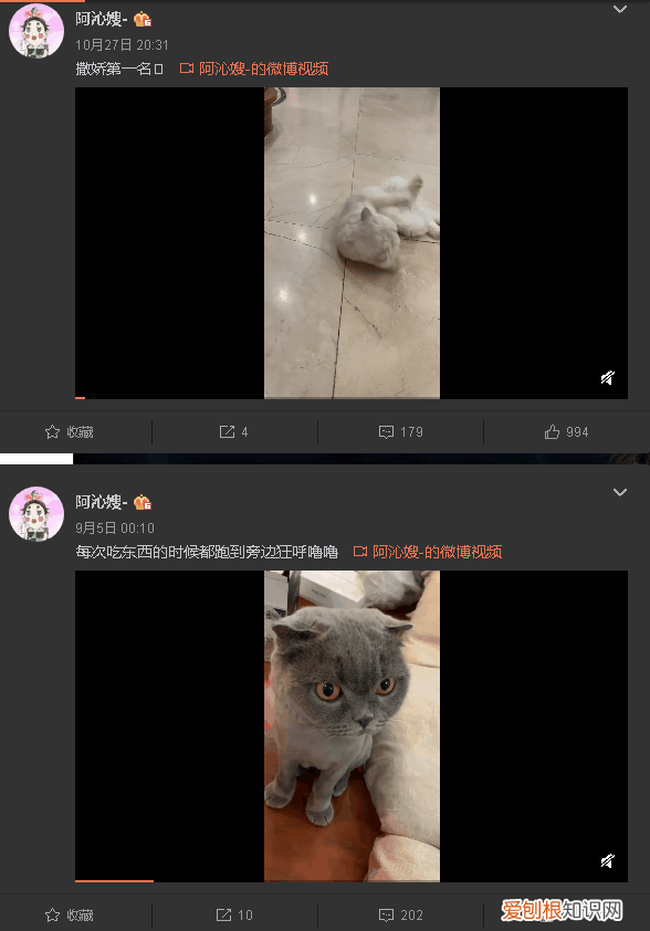 阿沁刘阳分手渣男分手以后还要带走猫….