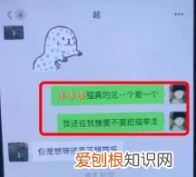 阿沁刘阳分手渣男分手以后还要带走猫….