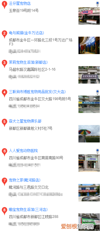 成都哪里有卖边牧犬 成都哪里买边境牧羊犬