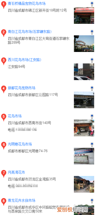 成都哪里有卖边牧犬 成都哪里买边境牧羊犬