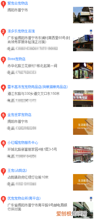 普宁哪里有边境牧羊犬买 普宁卖边牧的地方