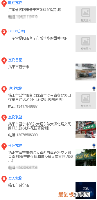 普宁哪里有边境牧羊犬买 普宁卖边牧的地方