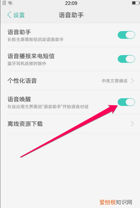 oppo手机怎么喊小布出来,怎么设置小布直接喊出来