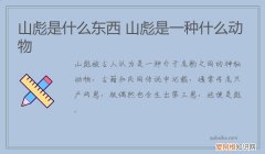 山彪是什么东西 山彪是一种什么动物