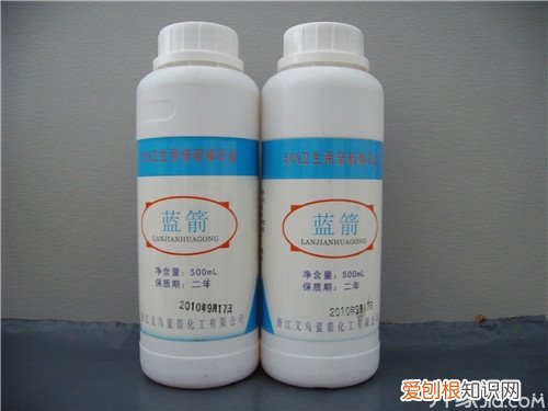 臭虫药哪里有卖 怎么有效的去除和预防臭虫