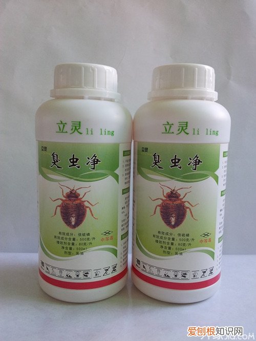 【臭虫的克星】立灵臭虫净让你彻底摆脱臭虫的困扰！