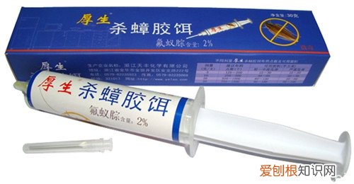 灭蟑螂最有效的药让你彻底和蟑螂说拜拜！