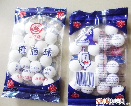 樟脑丸能防臭虫吗别说小编没告诉你!
