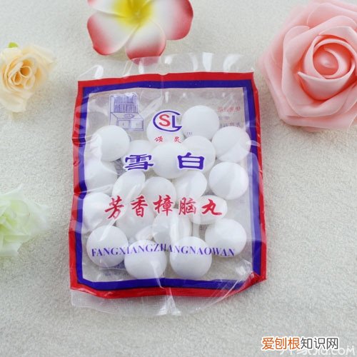 樟脑丸能防臭虫吗别说小编没告诉你!