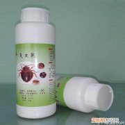 臭虫用什么药能杀死赶紧收藏！不要再错过了！