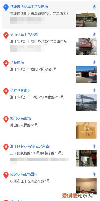 哪里买圣伯纳犬 什么地方买圣伯纳犬