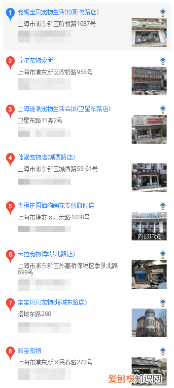 上海哪里买比熊 上海什么地方买比熊