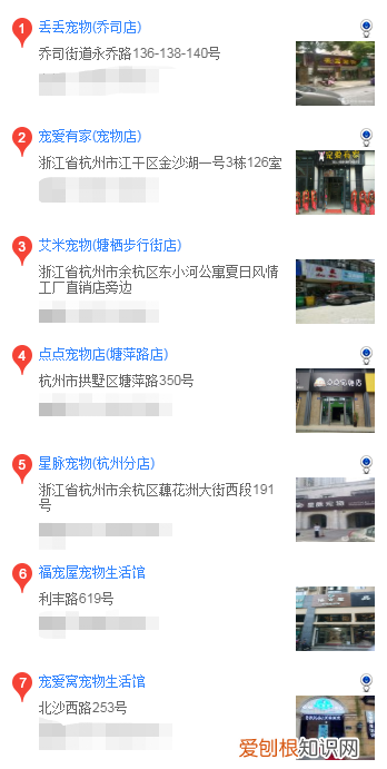 杭州哪里买比熊好 杭州买比熊的的地方