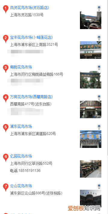 比熊在哪买 比熊在什么地方买